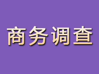 迎江商务调查