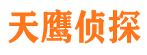 迎江市侦探公司